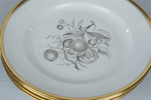 Load image into Gallery viewer, Spode Chatham Y5280 Bone China Dinnerware Set 26 Pieces Gold Trim England
