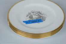 Load image into Gallery viewer, Spode Chatham Y5280 Bone China Dinnerware Set 26 Pieces Gold Trim England
