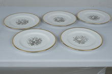 Load image into Gallery viewer, Spode Chatham Y5280 Bone China Dinnerware Set 26 Pieces Gold Trim England
