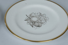 Load image into Gallery viewer, Spode Chatham Y5280 Bone China Dinnerware Set 26 Pieces Gold Trim England

