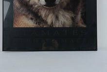 Load image into Gallery viewer, Stamates Alpha Male Wolf Wildlife Poster Framed 23 x 32
