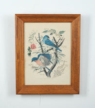 Load image into Gallery viewer, State Birds and Flowers - Arthur Singer - #2 in Series

