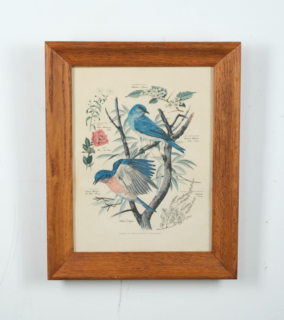 State Birds and Flowers - Arthur Singer - #2 in Series