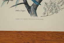 Load image into Gallery viewer, State Birds and Flowers - Arthur Singer - #2 in Series

