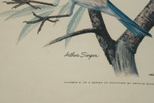 Load image into Gallery viewer, State Birds and Flowers - Arthur Singer - #2 in Series
