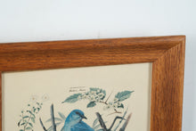 Load image into Gallery viewer, State Birds and Flowers - Arthur Singer - #2 in Series
