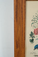 Load image into Gallery viewer, State Birds and Flowers - Arthur Singer - #2 in Series
