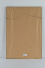 Load image into Gallery viewer, Steven Jordan Sunlight N Lace Signed Portfolio Gallery Columbia SC Art Print
