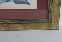 Load image into Gallery viewer, Framed Botanical Print Stripey Tulip I by Galley with Gilded Frame
