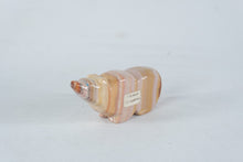 Load image into Gallery viewer, Stone Bear Fetish Carving Banded Calcite Animal Figurine Zuni Style
