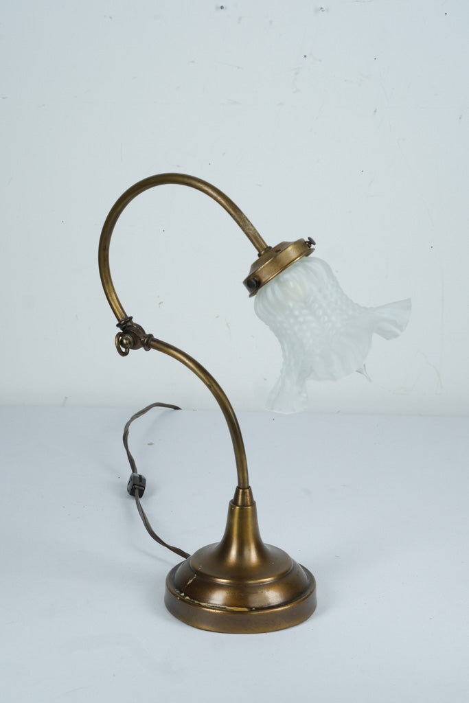 Brass Adjustable Gooseneck Table Lamp