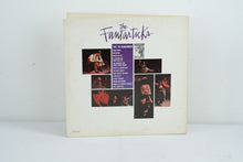 Load image into Gallery viewer, The Fantasticks Vinyl Record
