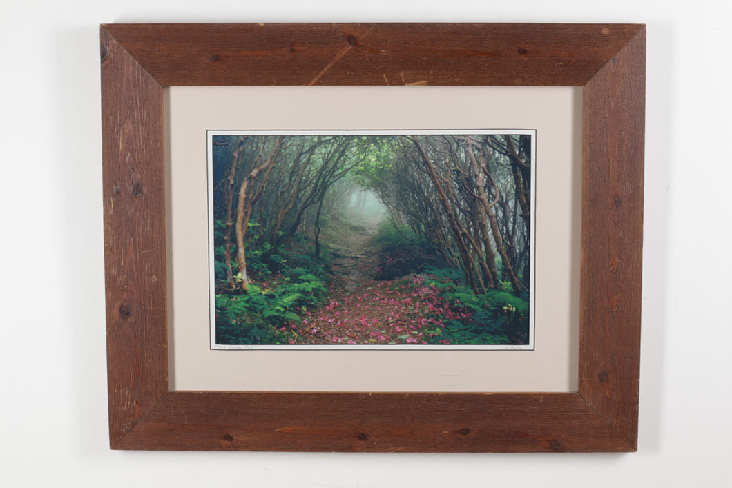 The Garden Path - Framed Photograph - G Newton