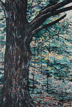 Load image into Gallery viewer, R Byrom The Light Under the Boughs Signed Limited Edition Print Framed 50x37
