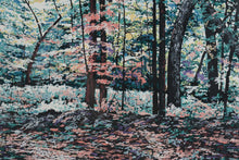 Load image into Gallery viewer, R Byrom The Light Under the Boughs Signed Limited Edition Print Framed 50x37
