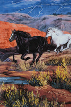 Load image into Gallery viewer, Set of 4 Thunder in the Mountain - The Franklin Mint
