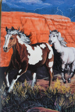 Load image into Gallery viewer, Set of 4 Thunder in the Mountain - The Franklin Mint

