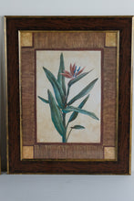 Load image into Gallery viewer, Bombay Company Tropical Botanical Framed Wall Art Set of 2 24 x 30
