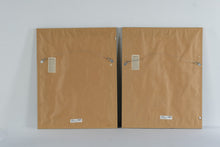 Load image into Gallery viewer, Bombay Company Tropical Botanical Framed Wall Art Set of 2 24 x 30
