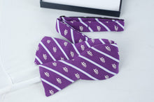 Load image into Gallery viewer, Vineyard Vines Purple Whale Logo Silk Bow Tie Pre Tied Adjustable With Gift Box
