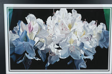 Load image into Gallery viewer, Barbara Buer White Rhododendron Signed Giclee Print Artful Home 45 x 32
