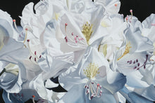 Load image into Gallery viewer, Barbara Buer White Rhododendron Signed Giclee Print Artful Home 45 x 32
