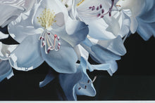 Load image into Gallery viewer, Barbara Buer White Rhododendron Signed Giclee Print Artful Home 45 x 32
