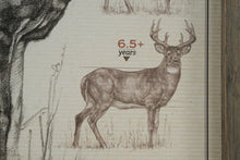 Load image into Gallery viewer, Ryan Kirby White Tailed Buck American Original Framed Deer Hunting Wall Art
