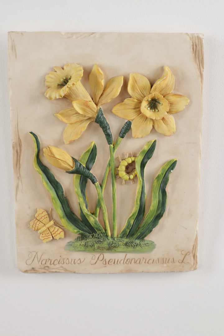 Wild Daffodil Plaque - Wall Art