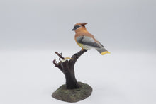Load image into Gallery viewer, Cedar Waxwing Bird Figurine Perched on Branch Realistic Wildlife Sculpture
