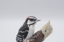 Load image into Gallery viewer, Lenox Downy Woodpecker Fine Porcelain Bird Figurine 1989 Original Certificate
