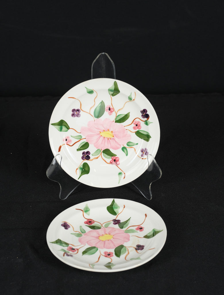 Blue Ridge Hand Painted Floral Plates – Set of 2, Southern Potteries USA