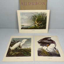 Load image into Gallery viewer, Audubon Birds of America by Roger Tony Peterson
