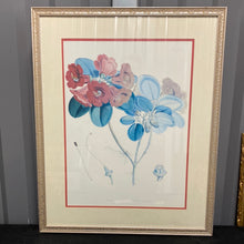 Load image into Gallery viewer, Antique Joseph Dalton Hooker Botanical Lithograph Pair Rhododendron Thomsoni Fulgens Framed
