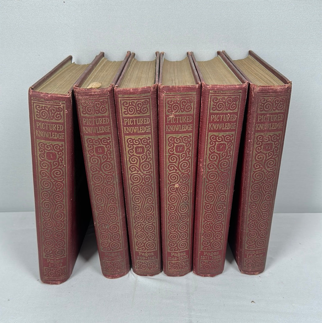 Pictured Knowledge - Set of 6 Books