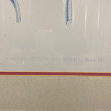 Load image into Gallery viewer, Antique Joseph Dalton Hooker Botanical Lithograph Pair Rhododendron Thomsoni Fulgens Framed
