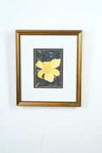 Load image into Gallery viewer, “Lily on Black” Original Miniature by June Trogdon (1997)

