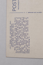 Load image into Gallery viewer, Lily Pond at Aquarium and Horticultural Building, Belle Isle Park, Detroit, MI Postcard - Unposted
