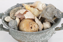 Load image into Gallery viewer, Bowl on Stand with Seashells
