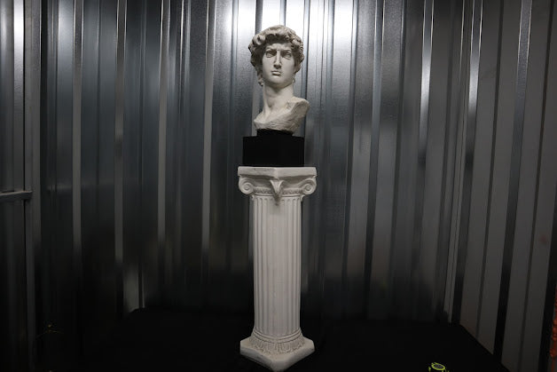 Bust of David on Column - 56