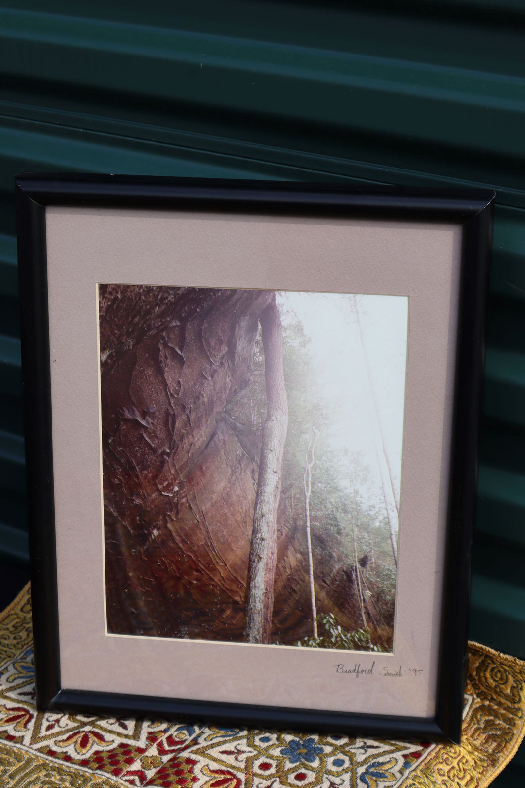 Interesting Framed Forest Photograph - Bradford Smith