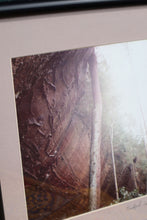 Load image into Gallery viewer, Interesting Framed Forest Photograph - Bradford Smith
