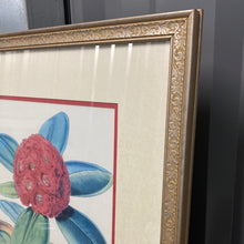 Load image into Gallery viewer, Rhododendron Fulgens, Hook. Fil - Framed Lithograph

